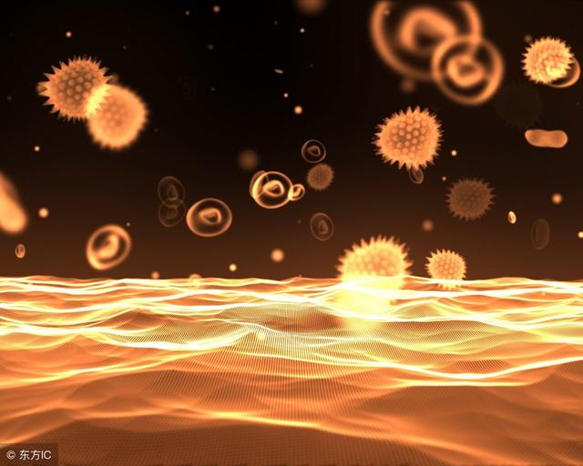 必看——生物必修1《分子与细胞》知识梳理（上）