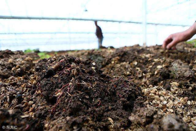 史上最全有机肥知识来了，请收藏，2019年更新版