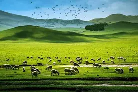 沙漠致富经：中国人治理沙漠，怎么就随手赚了个5000亿？图片