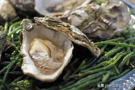 牡蛎营养价值图片