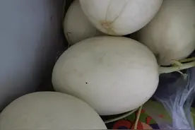 浙江网友买了箱瓜，回家一看气炸了！图片