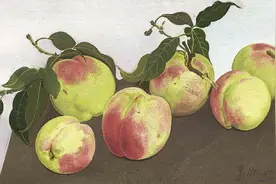 这些桃子值多少钱？忻东旺 油画作品 桃子图片