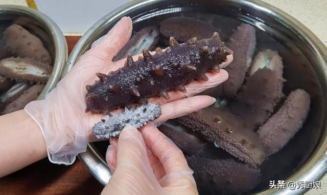 海参泡发方法最全面的图文教程，做法和要点详解，新手一次就成功