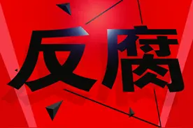 自治区原农业厅党组副书记、厅长艾克拜尔·吾甫尔严重违纪违法被开除党籍图片