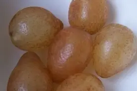 一种常见又奇特的果子，外形像黄皮果实，果子却结在泥土中图片