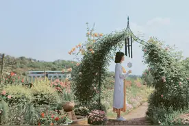 重庆北碚一个“秘密花园”，满院子鲜花，是女生拍照的好地方图片