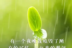 当代格律诗词的极端化 ［老实辑录］♦作者系诗友XUDD图片