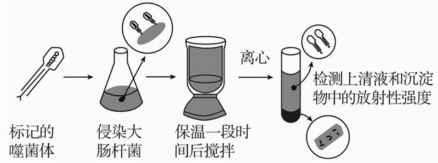 广东省普通高中2022届高三上学期10月阶段性质量检测+生物