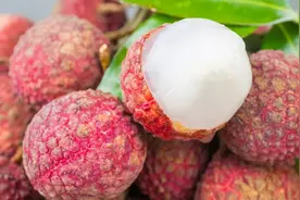 一次性吃太多荔枝，真会引发流产？孕妇，还能好好吃荔枝吗？图片