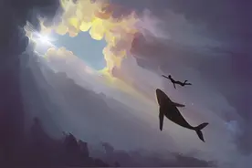 中国仅此一例发生在南海，罕见的鲸落，这是世上最浪漫的死亡图片