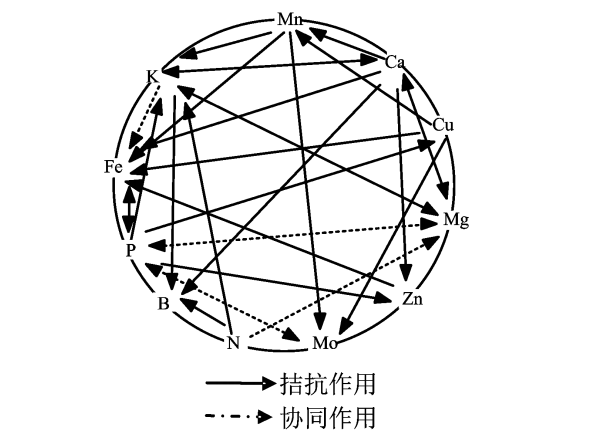 螯合中微肥到底是什么？如何选？螯合钙肥可以和磷酸二氢钾混用吗