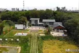 头雁领航·书记“秀 ”第十弹——卫星村、梨花街图片