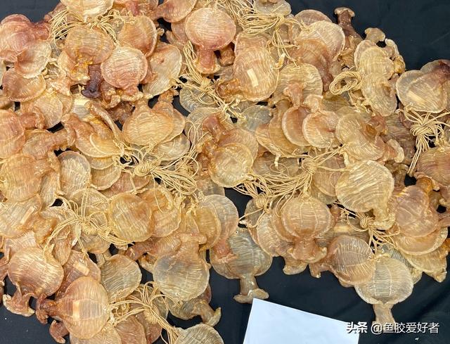 鱼胶如何食用方法 2025年鱼胶如何食用方法最好 鱼胶如何食用方法 2025年鱼胶如何食用方法最好