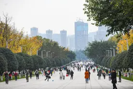 中央公园、科学城、茶园这三个板块的价值在哪？图片