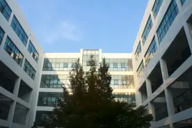 高校行政人员：大学里最卑微的一群人图片