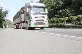 这位女司机火了，弯道超大货车，丈夫大喊四声加速终有惊无险视频封面
