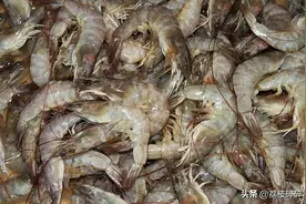 虾头里面到底是什么？能不能吃呢？其实都是精华，别再浪费了图片