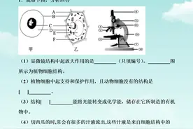 七年级生物上，期中复习，考前突击训练「综合题」专训含答案解析图片