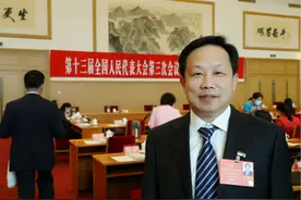 刘维朝代表:未成年人不是有组织犯罪的"挡箭牌"图片