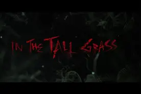 《高草丛中》一片高草+高概念，也玩出不一样的惊悚感图片