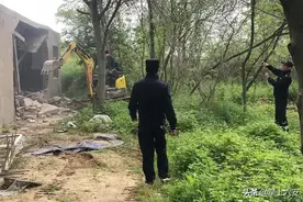 拆！拆！拆！六安这个村10户违法抢建被依法拆除图片