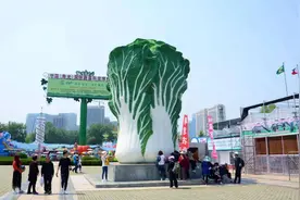 “寿光蔬菜”资本往事图片