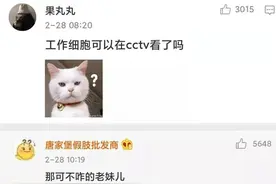 央视时隔14年首次播出日本动漫，满口得劲儿的东北话图片