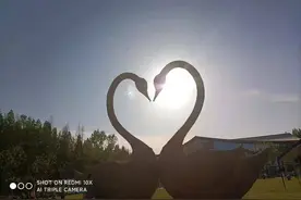 崇明花博会，东平森林公园一日游详细攻略图片