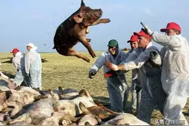 财政部补贴200亿，惠及13个省，哪些人可以获得？答案已经有了图片