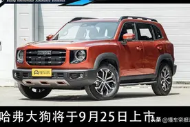 新车｜哈弗大狗将于北京车展开幕前夜上市 预售12.5万起图片