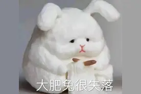 表情包：做只废物挺好的图片