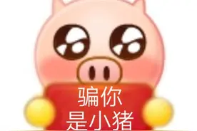 举牌表情包合集｜骗你是小猪图片