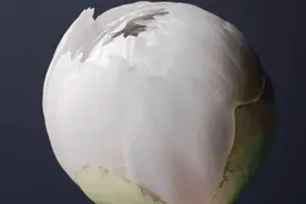 OriginOS深度评测：从设计出发，许久未见的新感觉图片