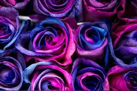 婚后丈夫把工资卡交给母亲，妻子同样照做，结果家里米和菜都断了图片