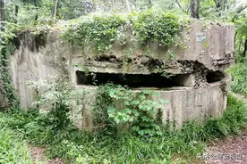 邵家山碉堡，一位排长挑了几箩筐子弹，战至弹尽粮绝，壮烈殉国图片