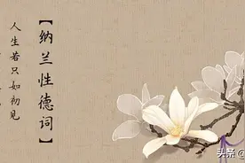 人生若只如初见，短暂即是永恒，相见不如怀念图片