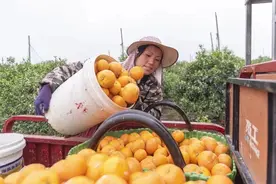 恶意抹黑农产品的不实报道，该停了！图片