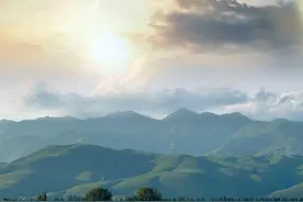 公职人员犯罪但免予刑事处罚，仍可保留公职图片