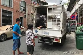 一女子自称是柬埔寨总理的女儿，被对方当场揭穿图片