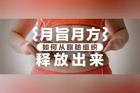 脂肪如何从脂肪组织释放出来？图片