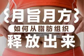 脂肪如何从脂肪组织释放出来？图片