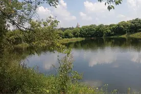 乘公交去乡下：增城3A景区小楼人家-还搞不搞旅游图片