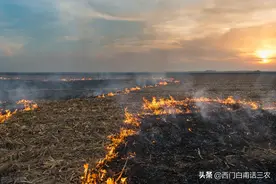 禁止焚烧秸秆让农民头疼，美国农民如何处理秸秆，我们可以学习吗图片
