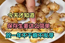 今天才知道，保存生姜这么简单，教你几招，放一年不干瘪不发芽图片
