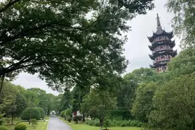 拙政园、豫园、个园、沈园……长三角这些曲径通幽的园林，你去过几个？图片