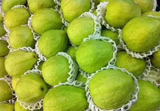 海南的水果上市时间表你知道有什么水果吗？