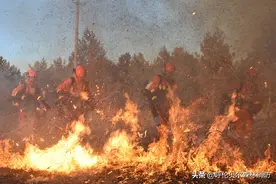 十年寒窗苦读，今日提笔一战！祝莘莘学子们金榜题名前程似锦！图片