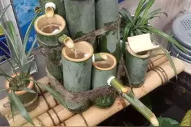 爱鱼玩出境界，自制养鱼增氧机，雅俗共赏图片