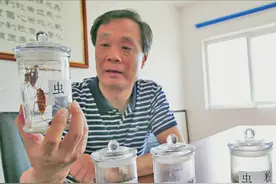 山东李延荣：辞去公务员职务，去山上养8亿只蟑螂，今已年入百亿图片