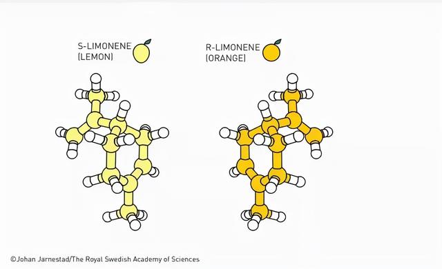 化学诺奖回归纯化学！德美发展继金属和酶之后的有机小分子催化剂